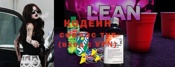 дживик Абаза