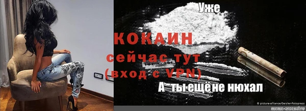 дживик Абаза